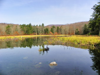 picture taken during a hike