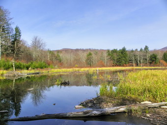 picture taken during a hike