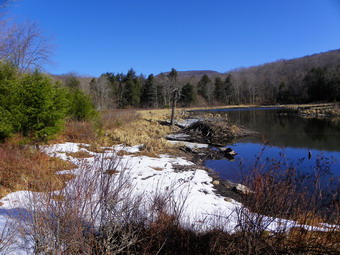 picture taken during a hike