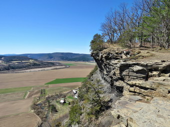 picture taken during a hike