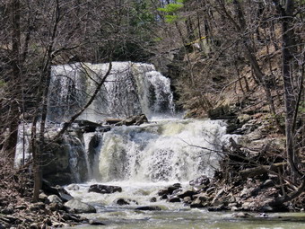 picture taken during a hike