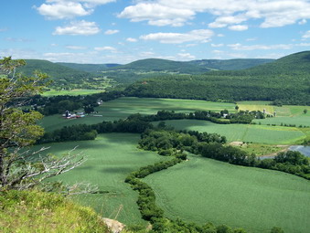 picture taken during a hike