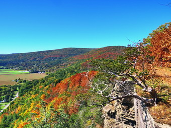 picture taken during a hike