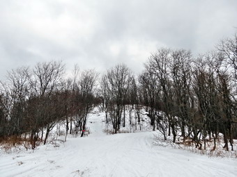 picture taken during a hike