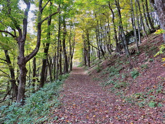 picture taken during a hike