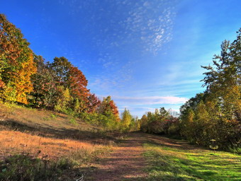 picture taken during a hike