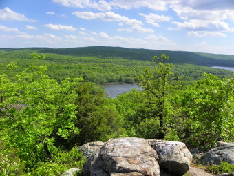 picture taken during a hike