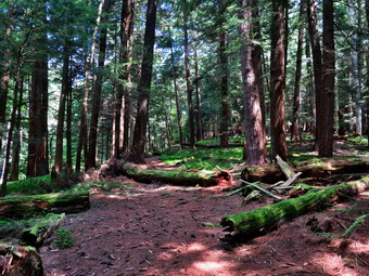 picture taken during a hike