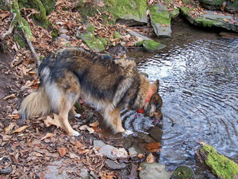 picture taken during a hike