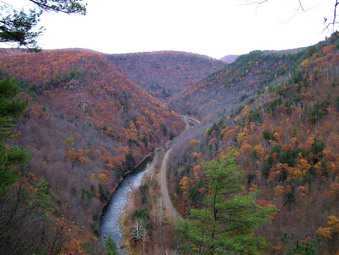 picture taken during a hike