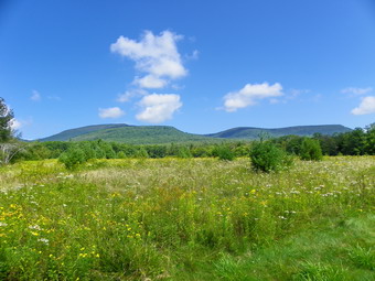 picture taken during a hike