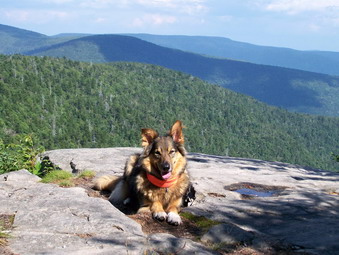 picture taken during a hike