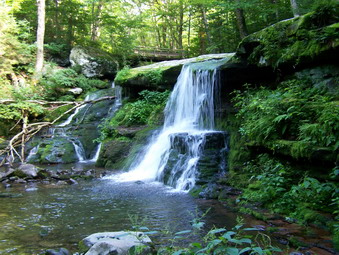 picture taken during a hike