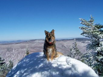 picture taken during a hike