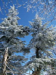 picture taken during a hike