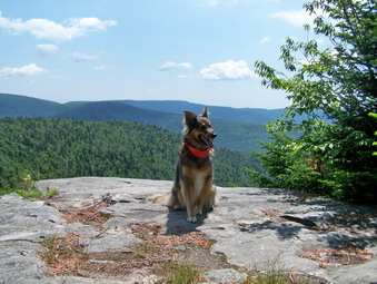 picture taken during a hike