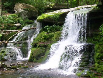 picture taken during a hike