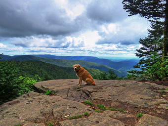 picture taken during a hike