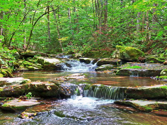 picture taken during a hike