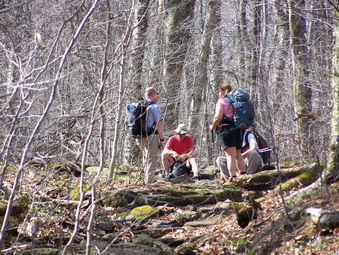 picture taken during a hike