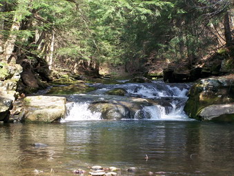 picture taken during a hike