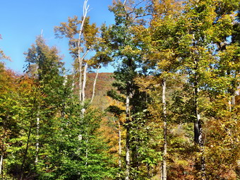 picture taken during a hike