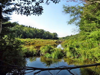 picture taken during a hike