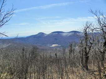 picture taken during a hike