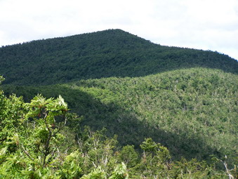 picture taken during a hike