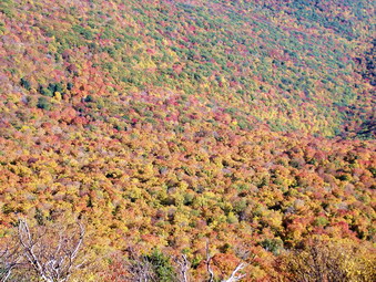 picture taken during a hike