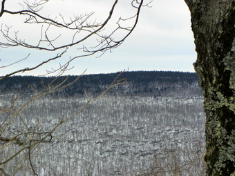 picture taken during a hike