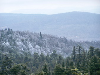 picture taken during a hike