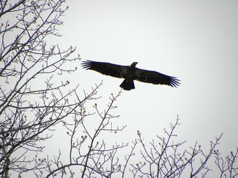 picture taken during a hike