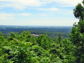 picture taken during a hike