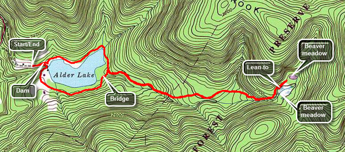 link to topo map