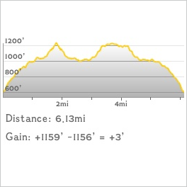 NJ1K profile
