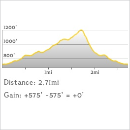 NJ1K profile