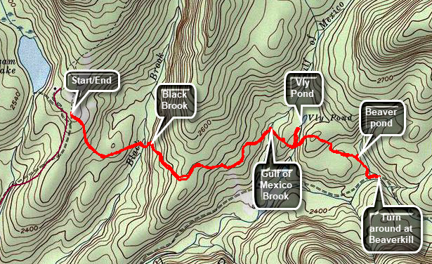 link to topo map