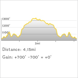 NJ1K profile