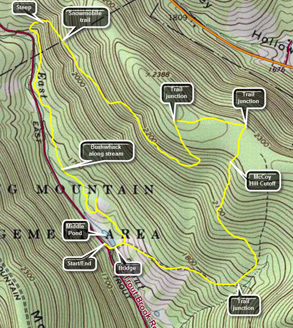 link to topo map