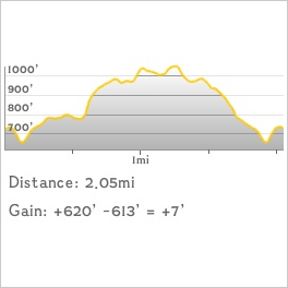 NJ1K profile