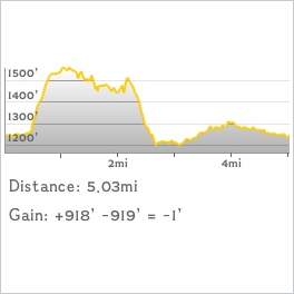 NJ1K profile