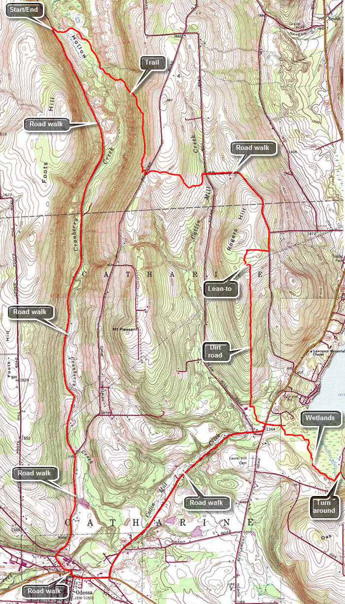 link to topo map