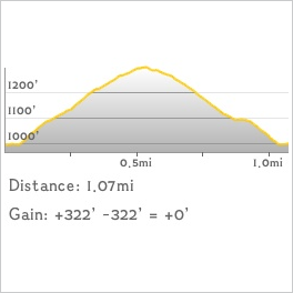 NJ1K profile