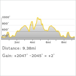 NJ1K profile