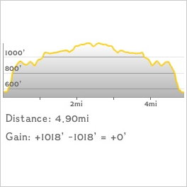 NJ1K profile