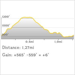 NJ1K profile
