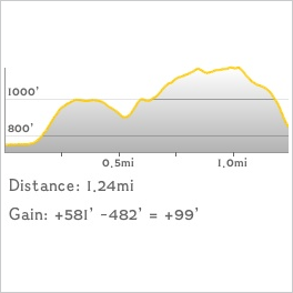 NJ1K profile