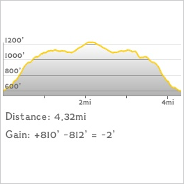 NJ1K profile