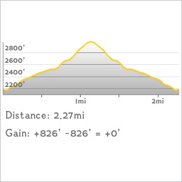 CHH peak profile